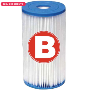 Cartucho de Filtro INTEX tipo B